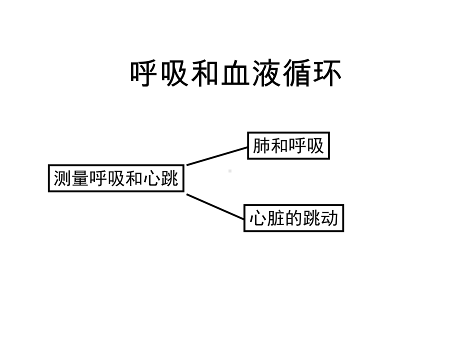 七年级生物课件第四单元呼吸和血液循环.ppt_第2页