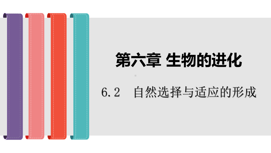 （新教材生物）《自然选择与适应的形成》优质课件1.pptx_第1页