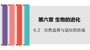 （新教材生物）《自然选择与适应的形成》优质课件1.pptx