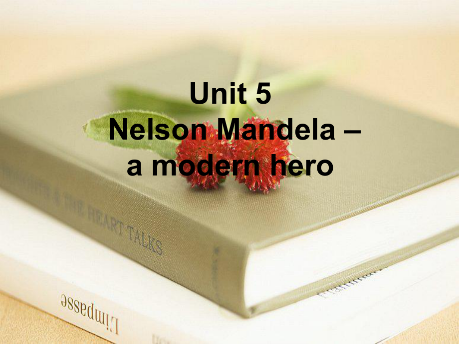 Unit5NelsonMandelaamodernhero课件1优质公开课人教高中必修1.ppt_第1页