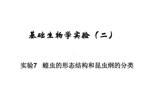 《基础生物学实验》课程实验7蝗虫的形态结构和昆虫纲的分类课件.ppt