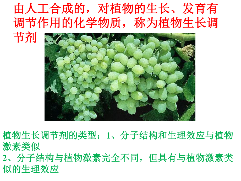 （新教材生物）《植物生长调节剂的应用》1课件.pptx_第3页