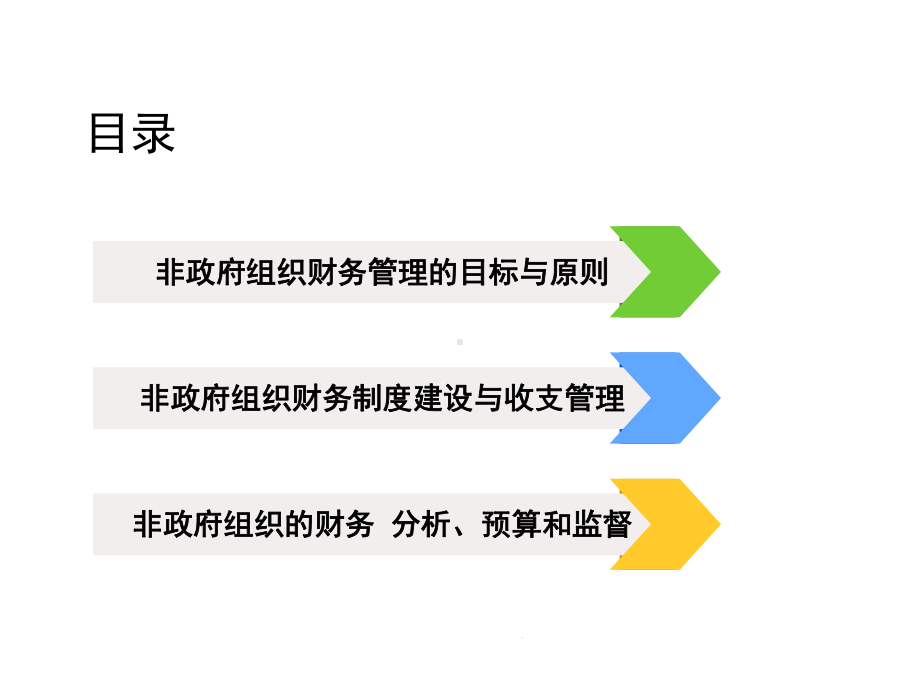 第十章非政府组织的财务管理课件.ppt_第2页