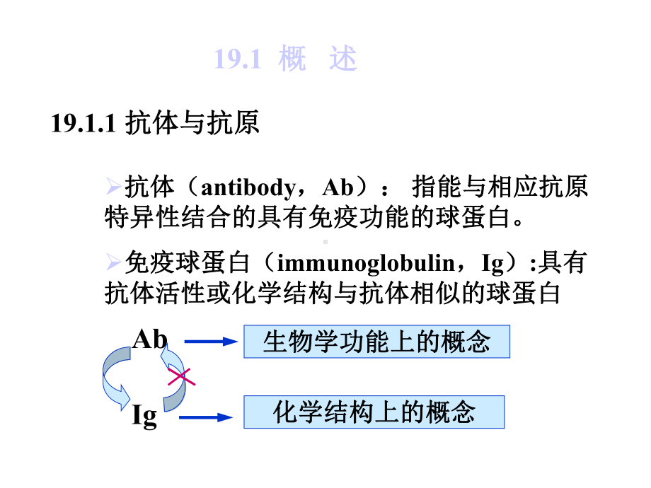 第六章抗体工程制药课件.ppt_第2页