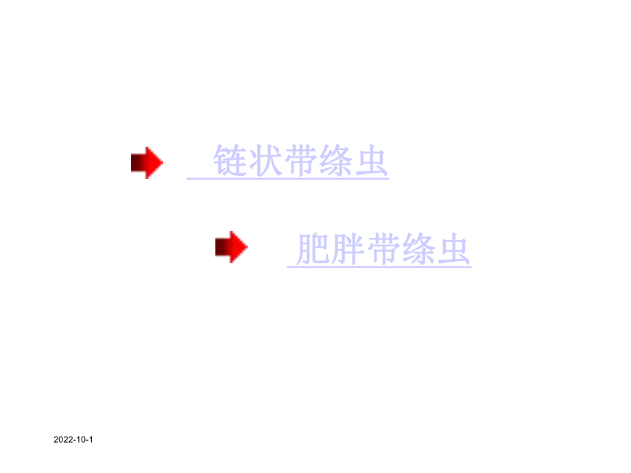 [高一理化生]绦虫课件.ppt_第2页