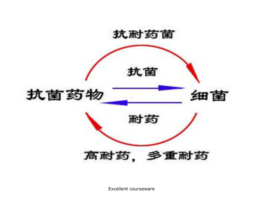 细菌培养课件.ppt_第2页