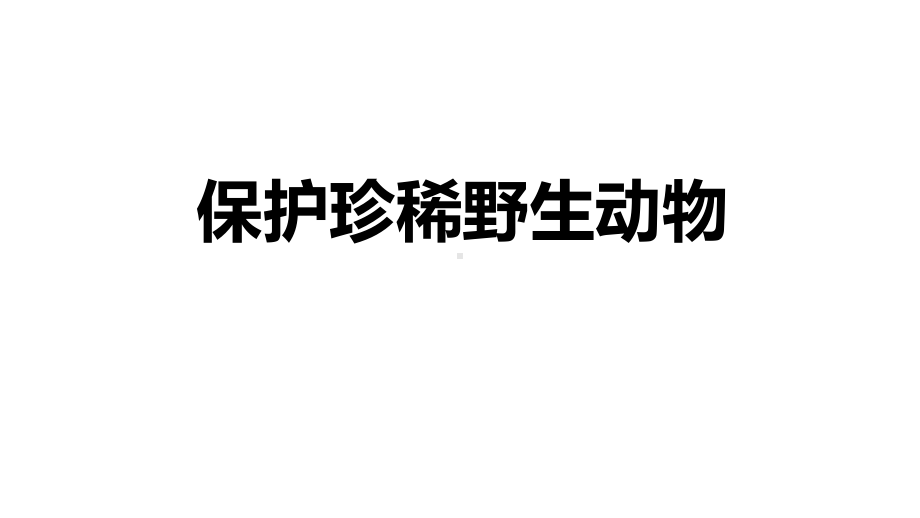 三年级美术下册《保护珍稀野生动物》优质课件.pptx_第1页