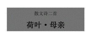 七年级语文散文诗二首《荷叶母亲》优秀课件.pptx