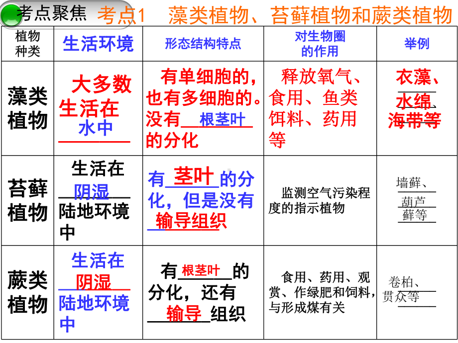 鲁科版生物留下313种子植物课件(共53张).pptx_第2页