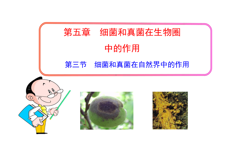 第四节-细菌和真菌在自然界中的作用中学课件.ppt_第1页