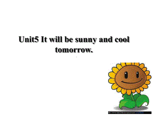 六年级英语上册课件Unit5Itwillbesunnyandcooltomorrow（13）湘少版.pptx-(课件无音视频)