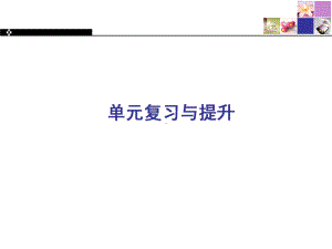 2022新人教版（2019）《高中英语》必修第一册Unit2 单元重点知识复习与提升ppt课件.pptx