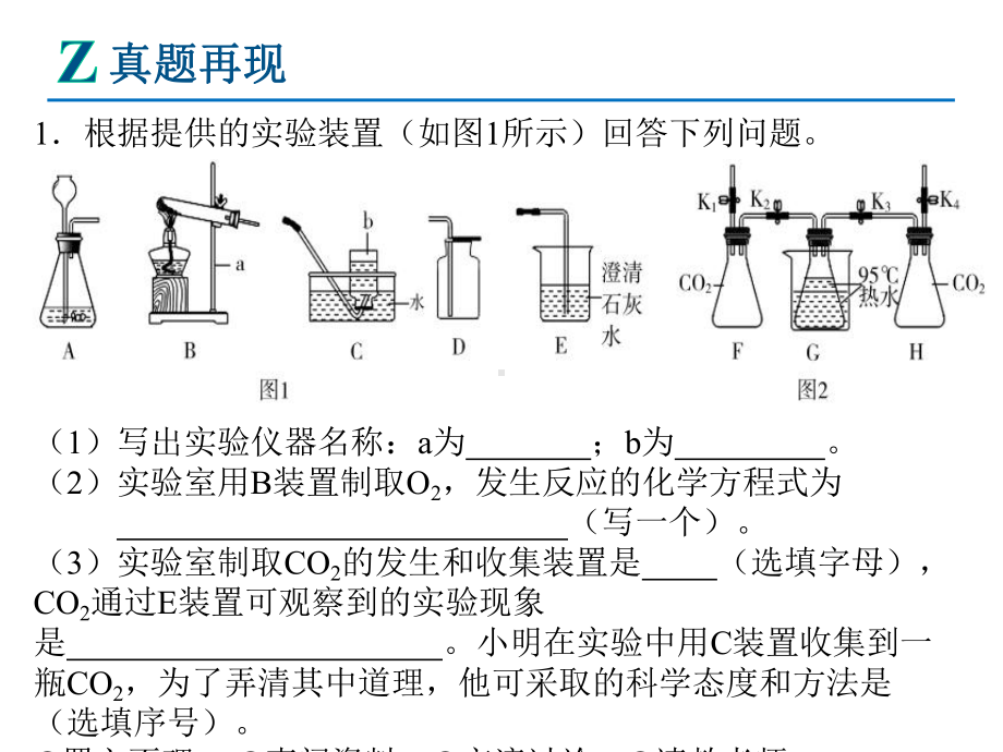 （课件）九年级化学复习专题七：碳和碳的氧化物.pptx_第2页