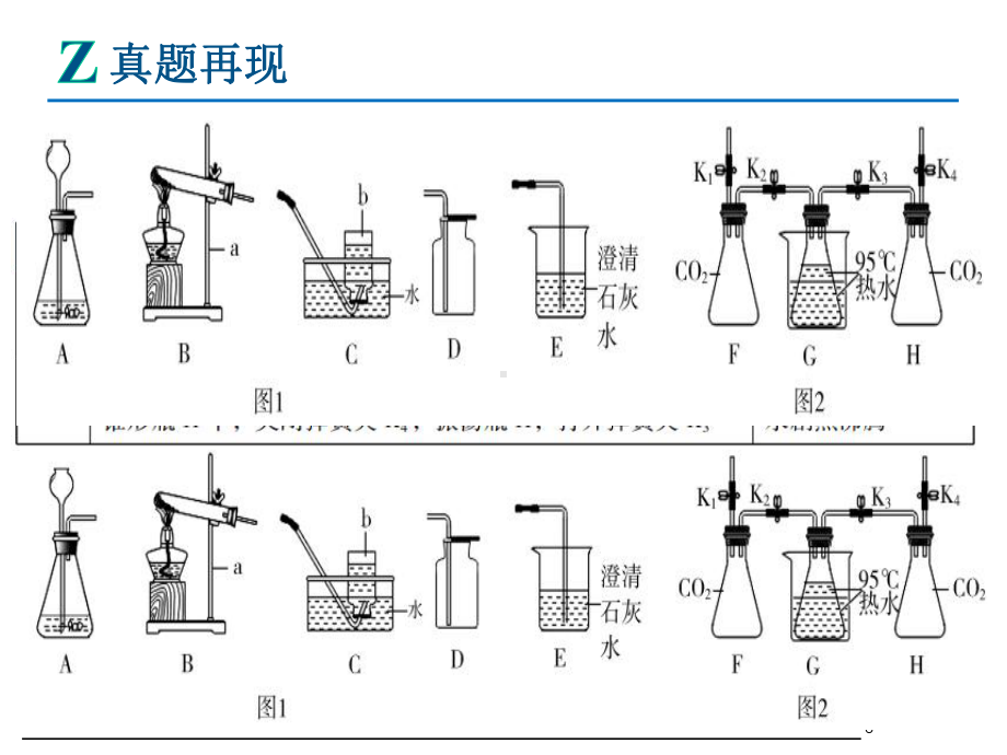 （课件）九年级化学复习专题七：碳和碳的氧化物.pptx_第3页