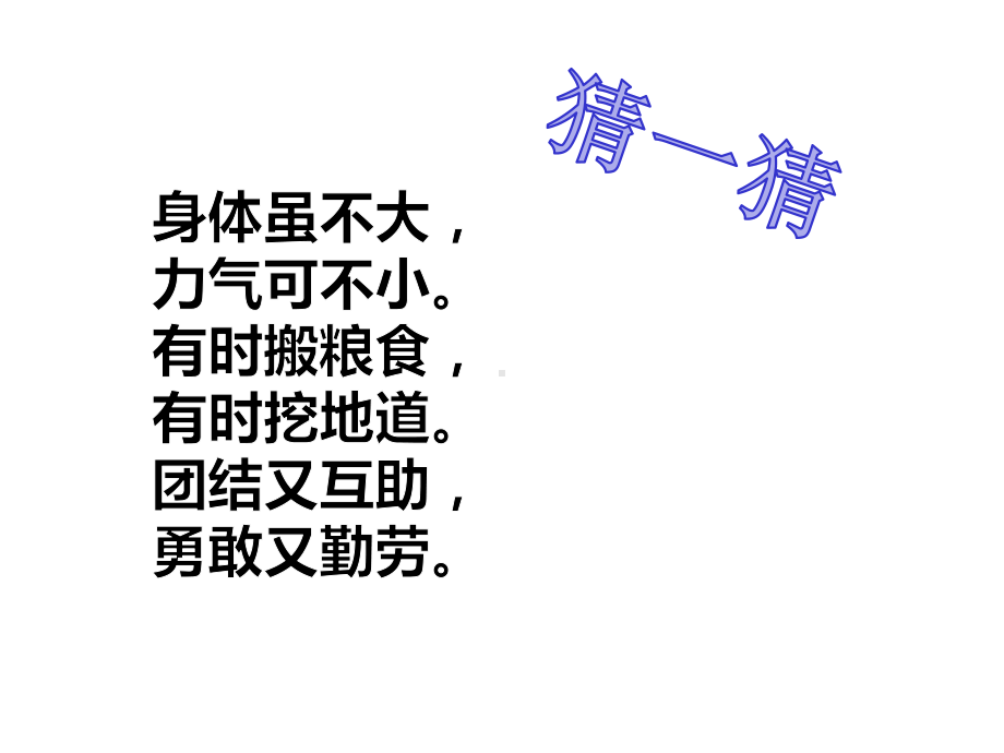 《蚂蚁搬西瓜》(幼儿园课件).ppt_第2页