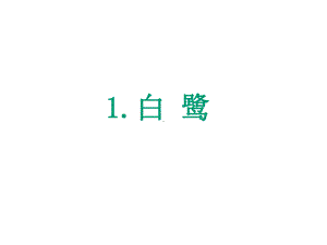 《白鹭》课时课件.pptx