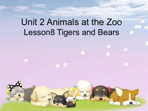 Unit2AnimalsattheZooLesson8TigersandBears课件2优质公开课冀教三起3下.ppt