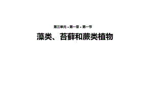 七年级生物上册第三单元第一章第一节《藻类、苔藓和蕨类植物》课件(新版)新人教版.ppt