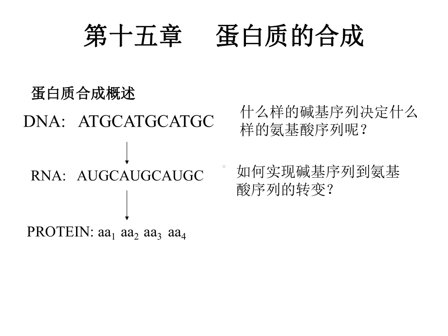 第十五章蛋白质的合成课件.ppt_第1页