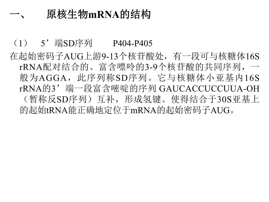 第十五章蛋白质的合成课件.ppt_第3页