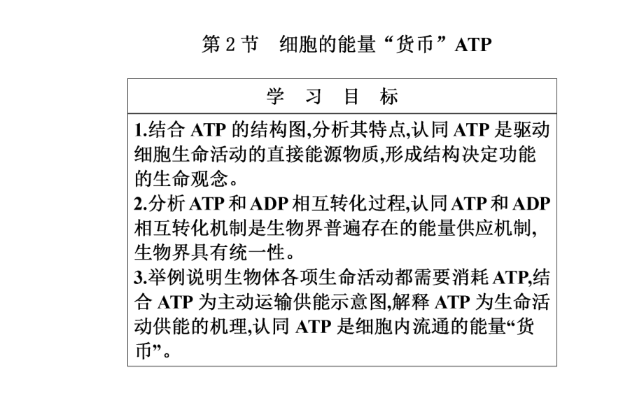 （人教版新教材）《细胞的能量“货币”ATP》课件1.pptx_第2页