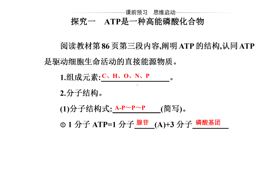 （人教版新教材）《细胞的能量“货币”ATP》课件1.pptx_第3页