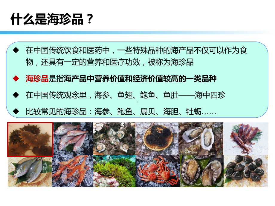 《水产品加工学》教学课件—第13章海珍品加工工艺.ppt_第3页