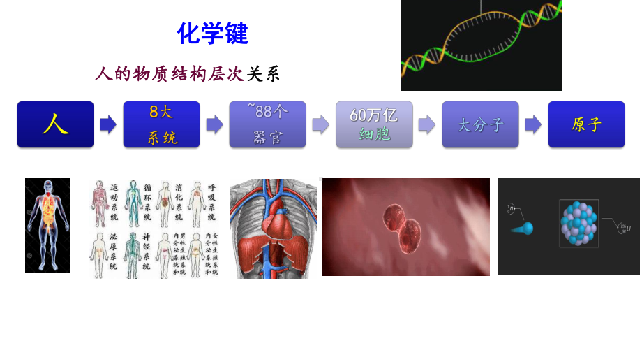 《化学与人生哲理》课件第2章化学键理论.ppt_第2页