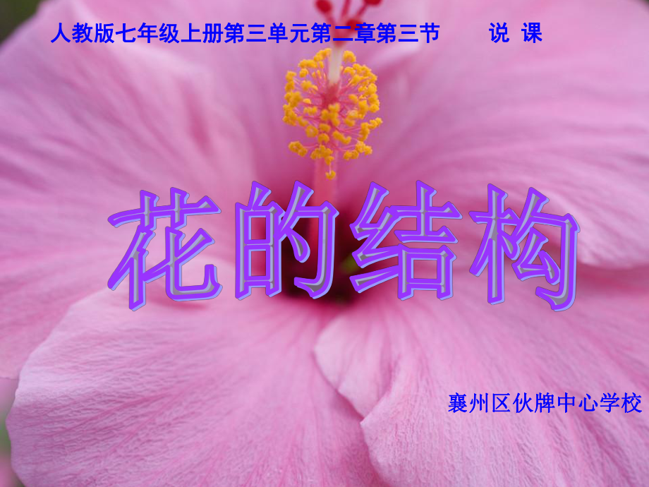 《花的结构》说课课件.ppt_第2页