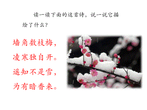 《踏雪寻梅》课件.ppt