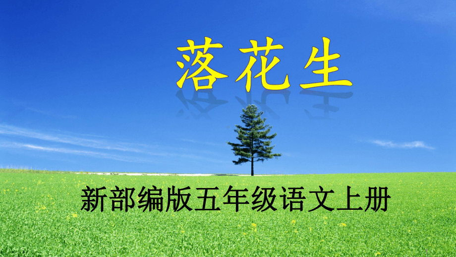 《落花生》课件.ppt_第1页