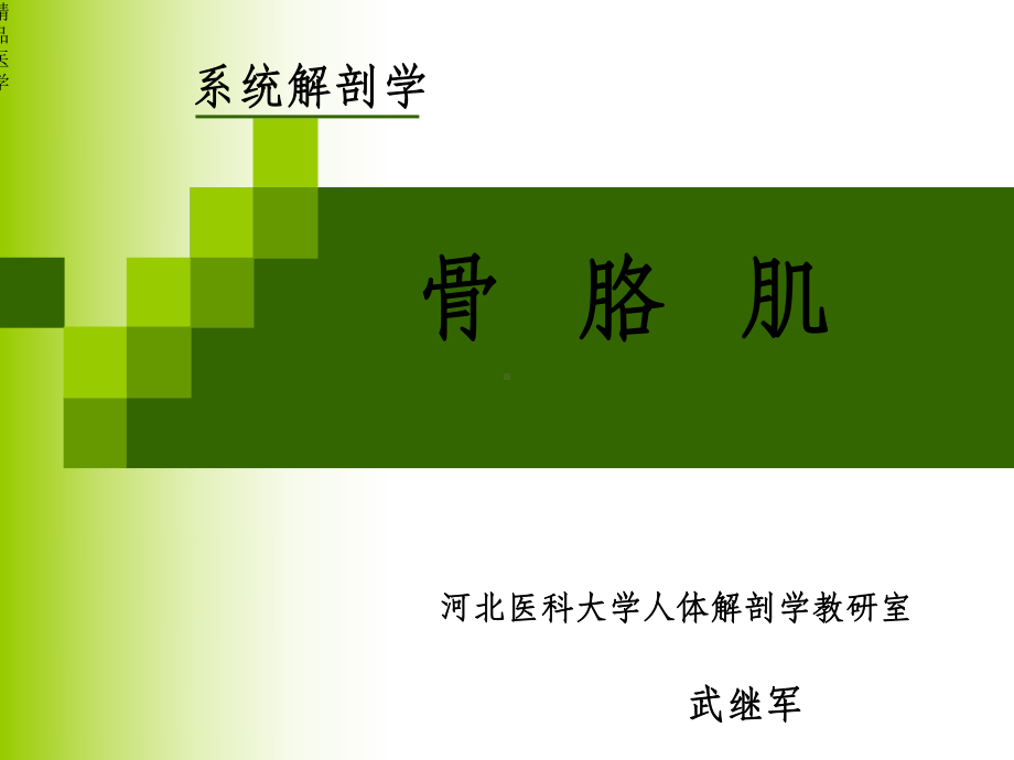 《运动系统肌学》课件.ppt_第1页