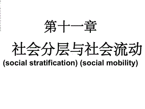 第十一章社会分层与社会流动课件.ppt