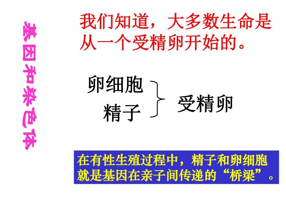 （优秀）八年级生物下册《第二节基因在亲子代间的传递》课件.ppt_第3页