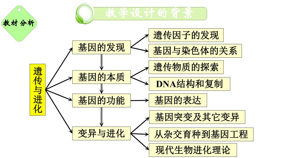 《遗传的染色体学说》说课优秀课件.pptx_第2页