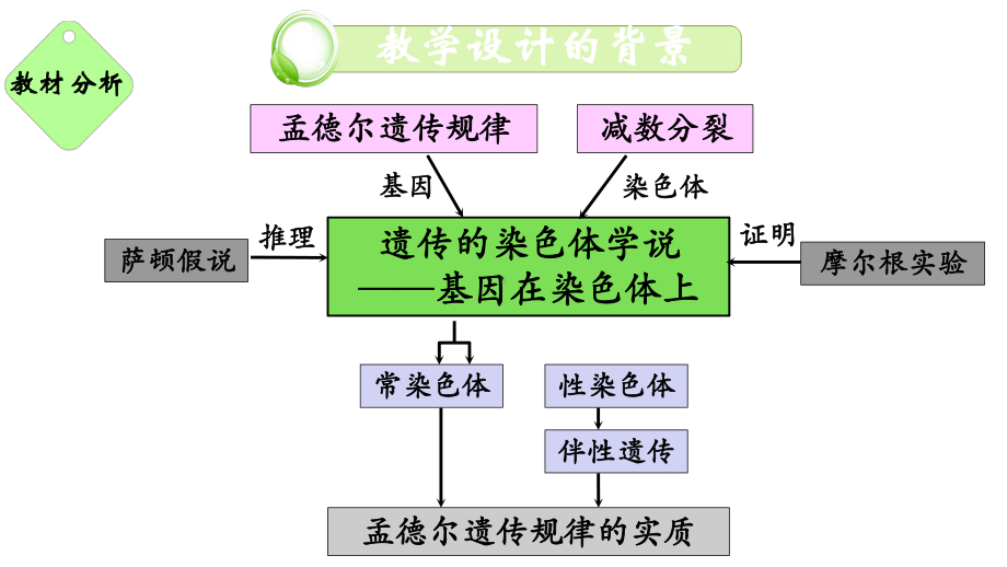 《遗传的染色体学说》说课优秀课件.pptx_第3页