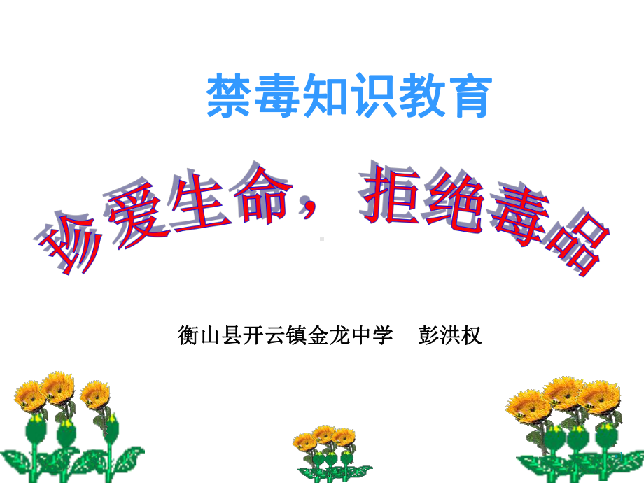 中学禁毒教育课件.ppt_第1页