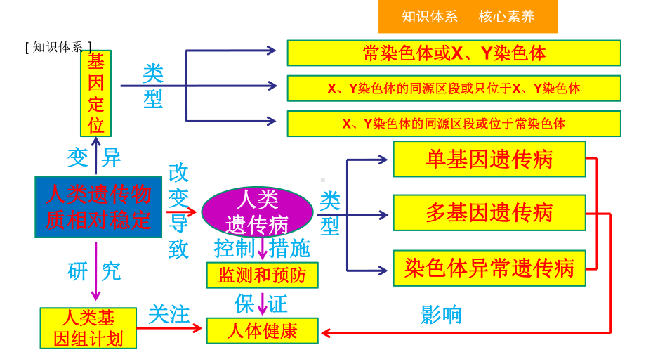 （人教版新教材）《人类遗传病》课件1.ppt_第2页