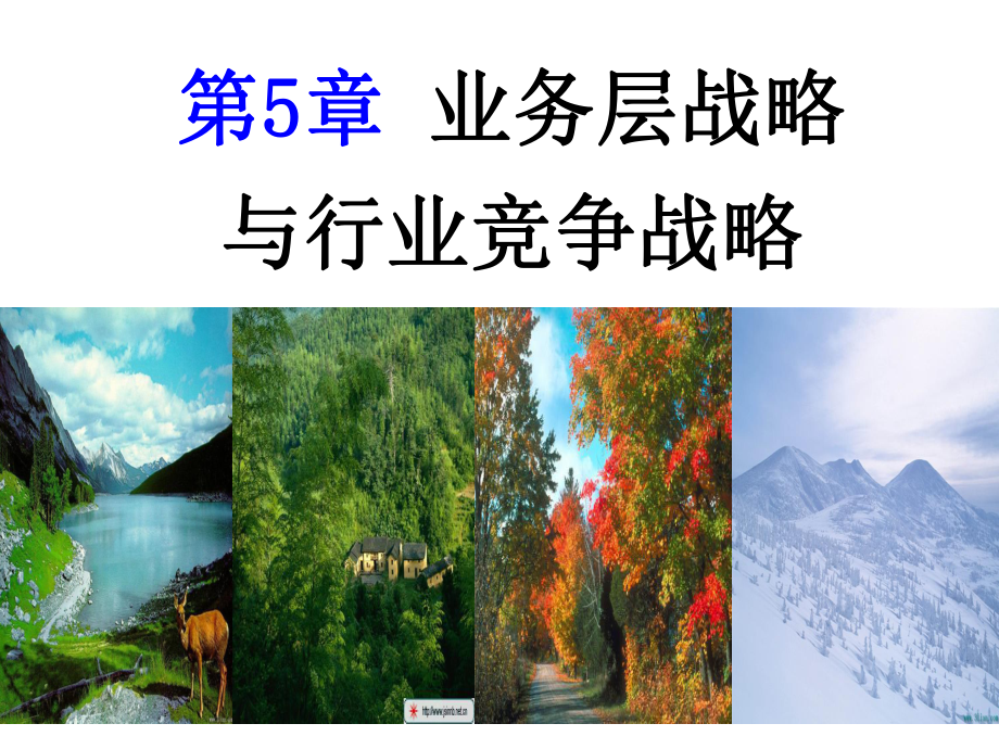 第5章业务层战略与行业竞争战略课件.ppt_第1页