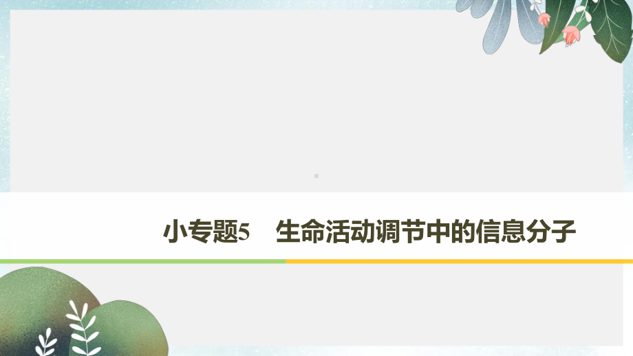 高考生物二轮复习专题五生命活动调节小专题5生命活动调节中的信息分子课件.ppt_第1页