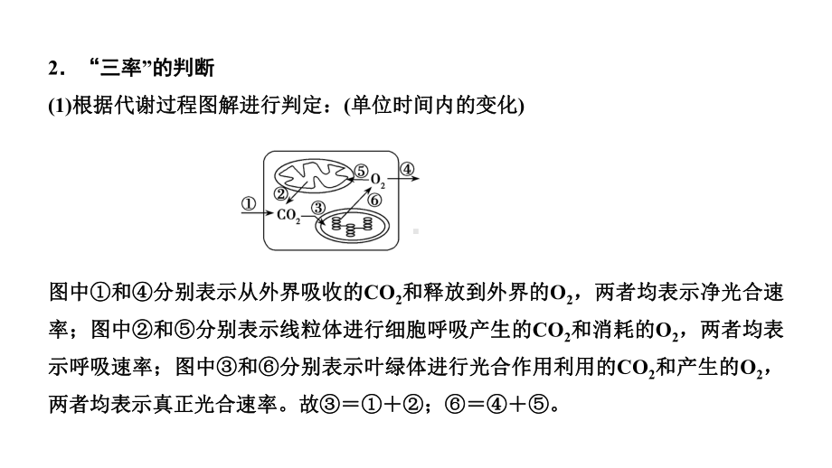 第三单元微专题三光合作用与细胞呼吸的“三率”判定及相关计算00课件.ppt_第3页