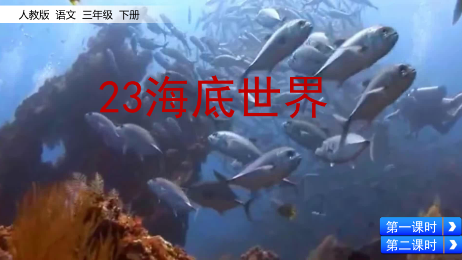 （语文）部编人教版小学语文三年级下册23海底世界优质公开课课件.ppt_第3页