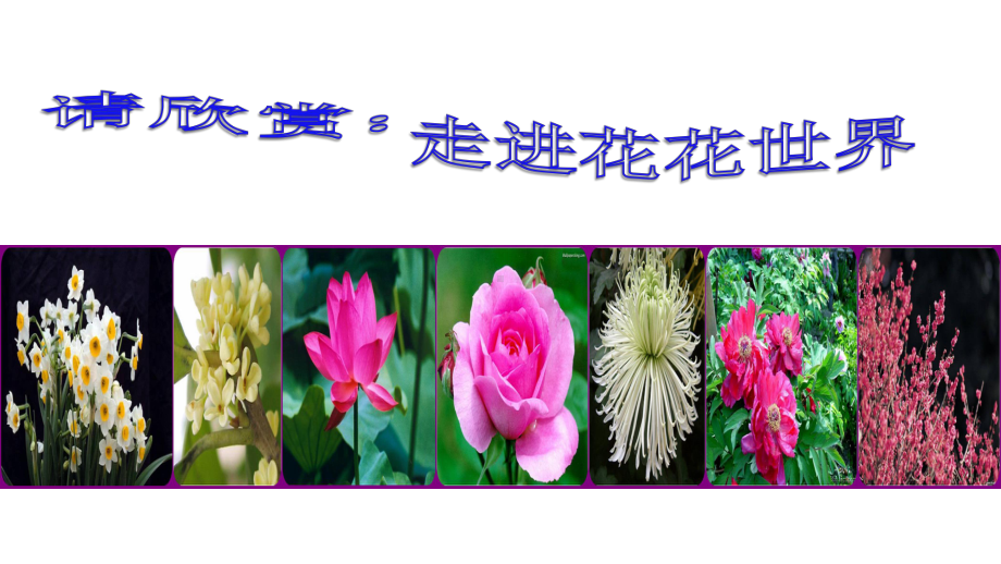 《开花和结果》初中生物公开课课件.pptx_第1页