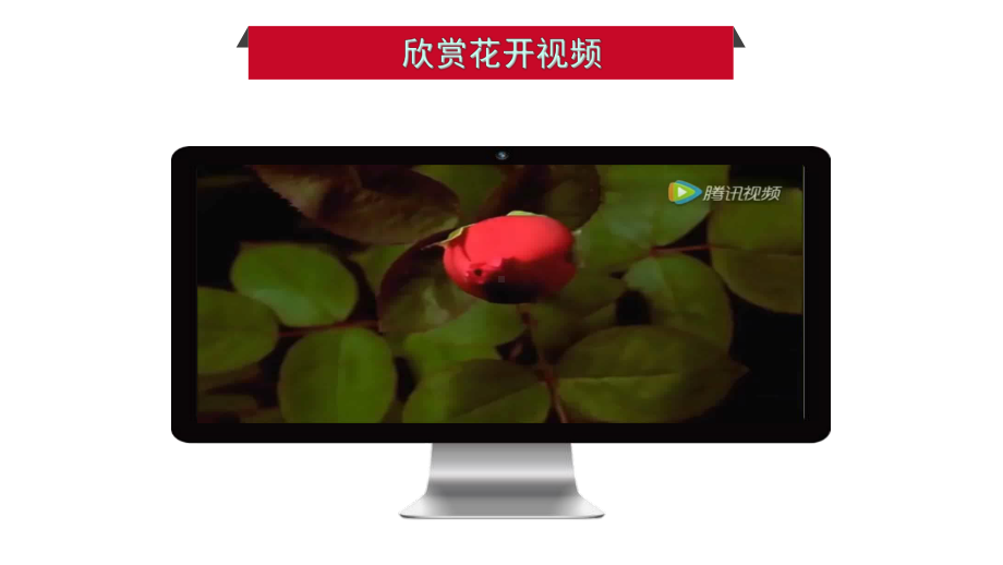 《开花和结果》初中生物公开课课件.pptx_第2页