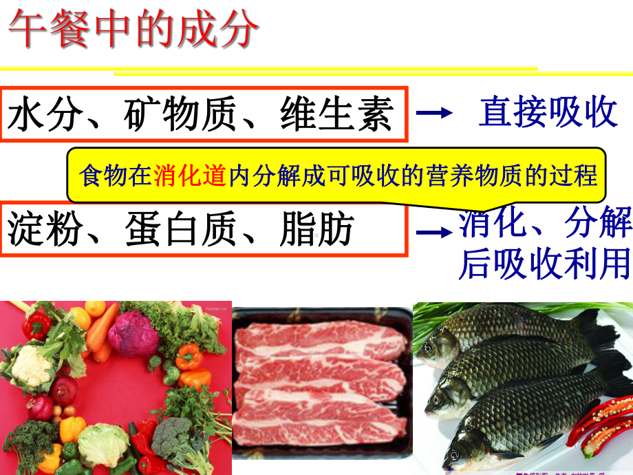 （华师大版）《科学》八年级上册：全册配套教学课件精选集第五章14节打包12套.ppt_第2页