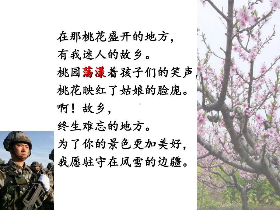 《在那桃花盛开的地方》课件.ppt_第2页