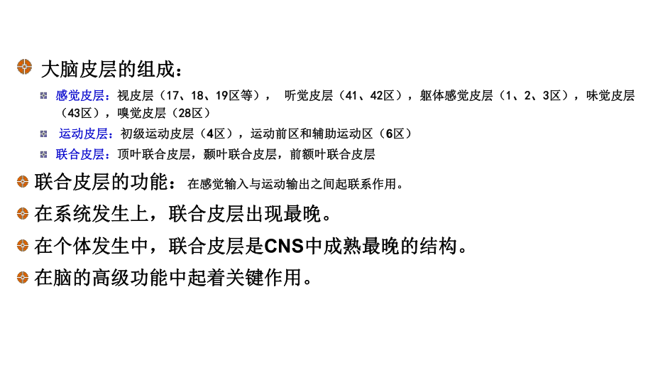 第八讲大脑联合皮层和功能一侧化课件.ppt_第2页