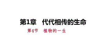 七年级科学下册同步练习课件：第1章代代相传的生命.pptx