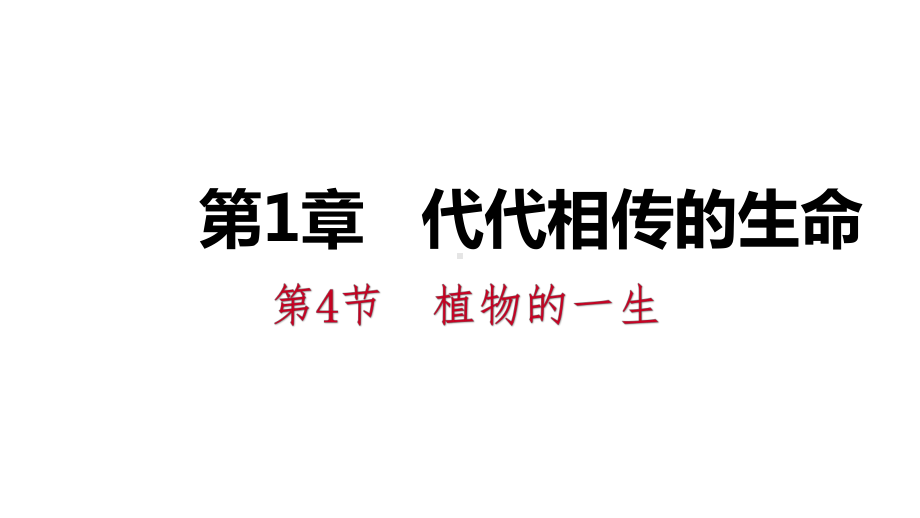 七年级科学下册同步练习课件：第1章代代相传的生命.pptx_第1页