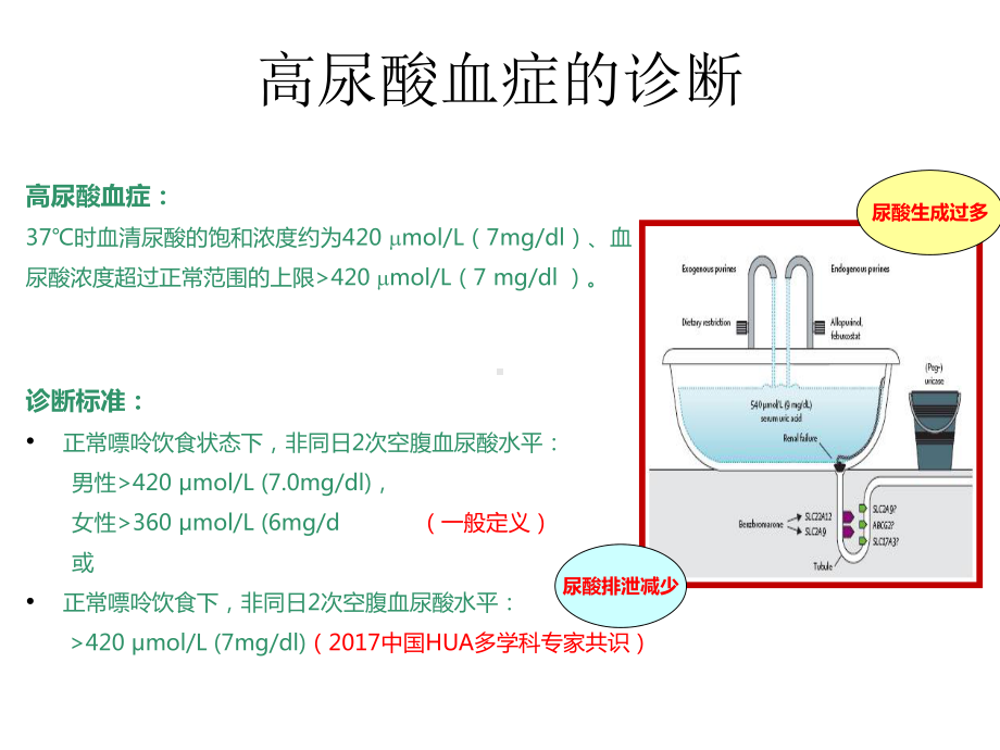 不容忽视的高尿酸血症课件.pptx_第3页